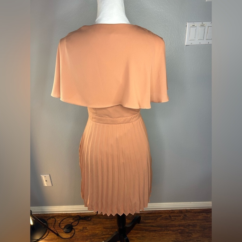 🌸 NWOT Petal & Roz Blush/ Nude/ Peach Pleated Chiffon Dress – Size Large - Picture 5 of 9